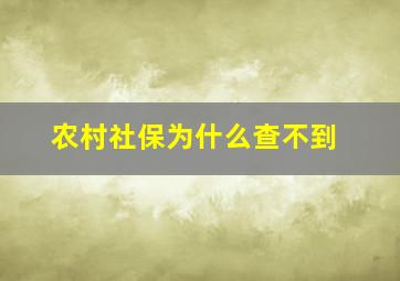 农村社保为什么查不到