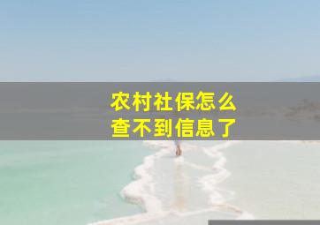 农村社保怎么查不到信息了