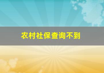 农村社保查询不到