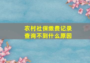 农村社保缴费记录查询不到什么原因