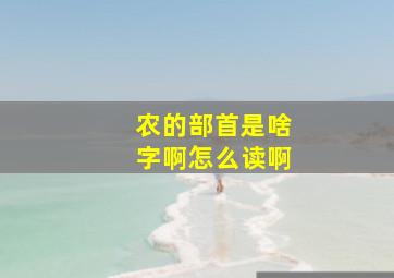 农的部首是啥字啊怎么读啊