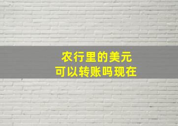 农行里的美元可以转账吗现在