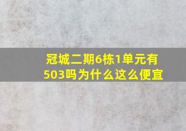 冠城二期6栋1单元有503吗为什么这么便宜