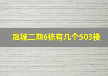 冠城二期6栋有几个503楼