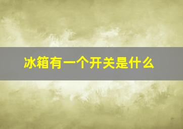 冰箱有一个开关是什么