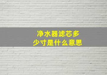 净水器滤芯多少寸是什么意思