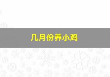 几月份养小鸡