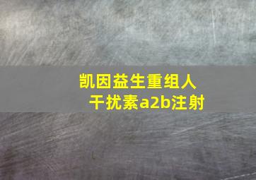 凯因益生重组人干扰素a2b注射