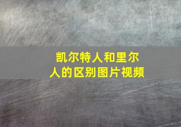 凯尔特人和里尔人的区别图片视频