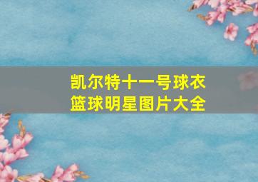 凯尔特十一号球衣篮球明星图片大全