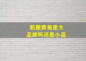 凯撒男装是大品牌吗还是小品