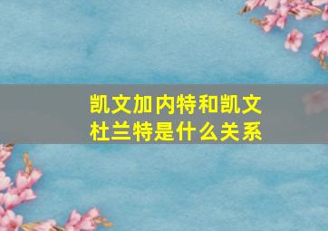 凯文加内特和凯文杜兰特是什么关系