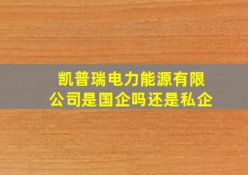 凯普瑞电力能源有限公司是国企吗还是私企