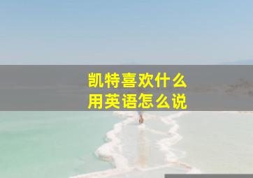 凯特喜欢什么用英语怎么说