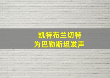 凯特布兰切特为巴勒斯坦发声