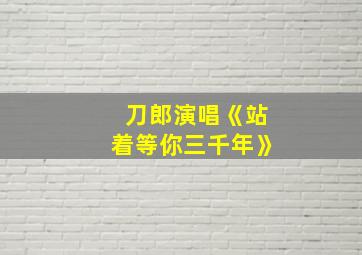 刀郎演唱《站着等你三千年》