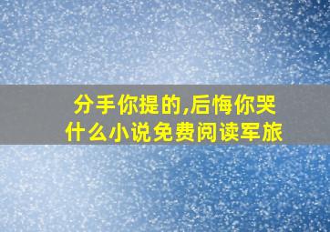 分手你提的,后悔你哭什么小说免费阅读军旅