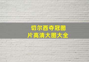 切尔西夺冠图片高清大图大全