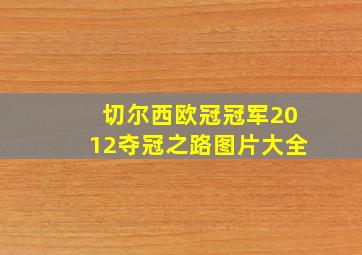 切尔西欧冠冠军2012夺冠之路图片大全