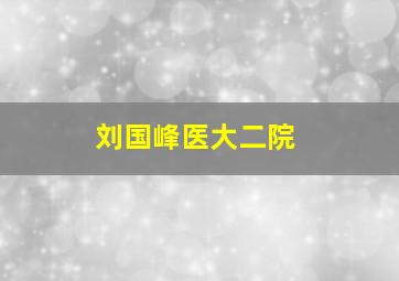 刘国峰医大二院