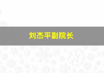 刘杰平副院长