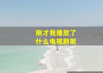 刚才我播放了什么电视剧呢