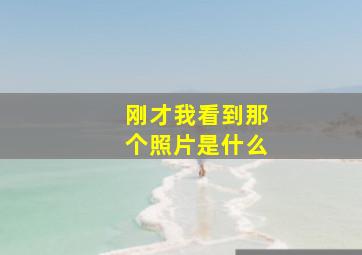 刚才我看到那个照片是什么