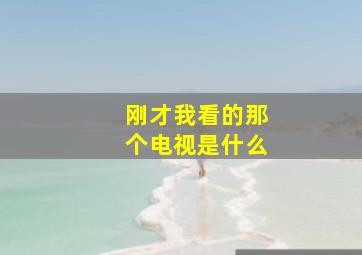 刚才我看的那个电视是什么