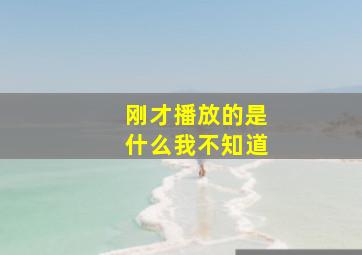 刚才播放的是什么我不知道