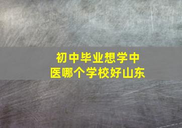 初中毕业想学中医哪个学校好山东