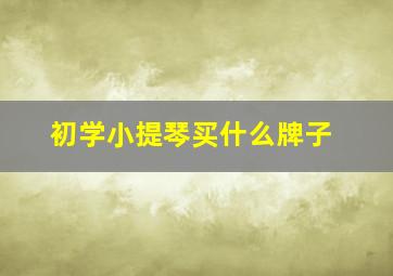 初学小提琴买什么牌子