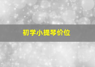 初学小提琴价位