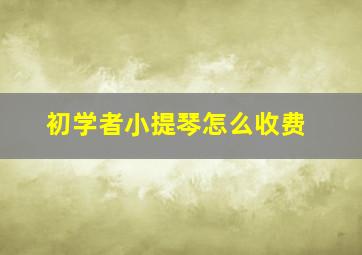 初学者小提琴怎么收费