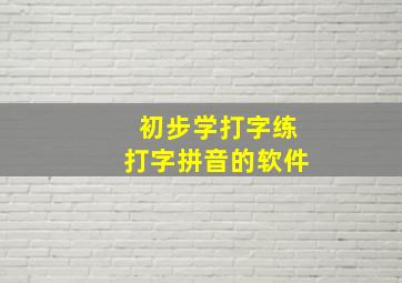 初步学打字练打字拼音的软件