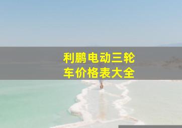 利鹏电动三轮车价格表大全