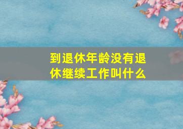 到退休年龄没有退休继续工作叫什么