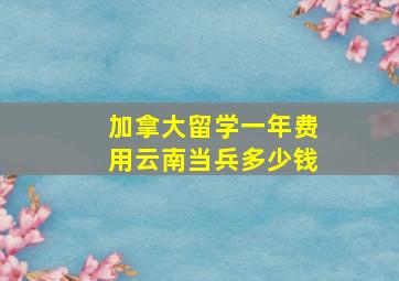 加拿大留学一年费用云南当兵多少钱