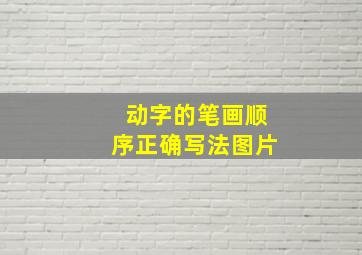 动字的笔画顺序正确写法图片