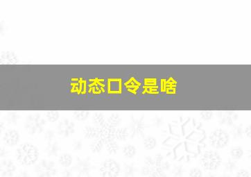 动态口令是啥