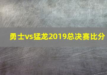 勇士vs猛龙2019总决赛比分