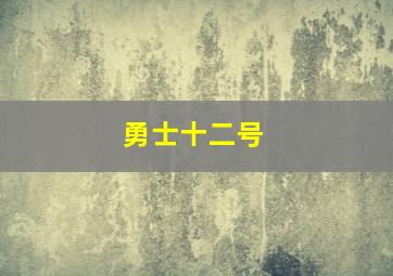 勇士十二号