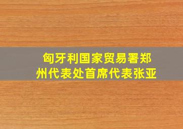 匈牙利国家贸易署郑州代表处首席代表张亚