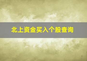 北上资金买入个股查询