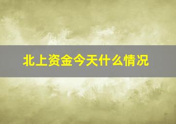 北上资金今天什么情况