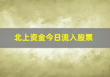 北上资金今日流入股票