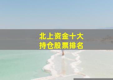 北上资金十大持仓股票排名