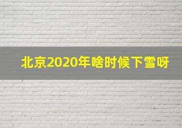 北京2020年啥时候下雪呀