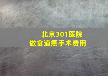 北京301医院做食道癌手术费用