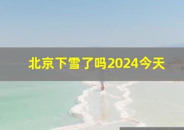 北京下雪了吗2024今天