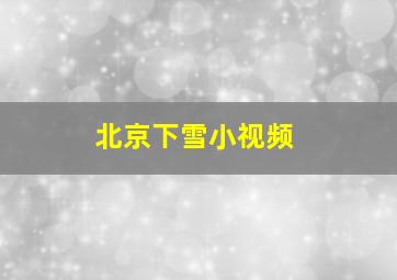 北京下雪小视频